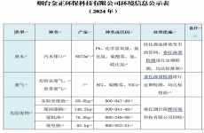 烟台龙8科技有限公司环境信息公开表（2024年）